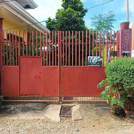 Peace Lily Studio Apartments Đảo Panglao Ngoại thất bức ảnh