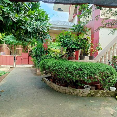Peace Lily Studio Apartments Đảo Panglao Ngoại thất bức ảnh