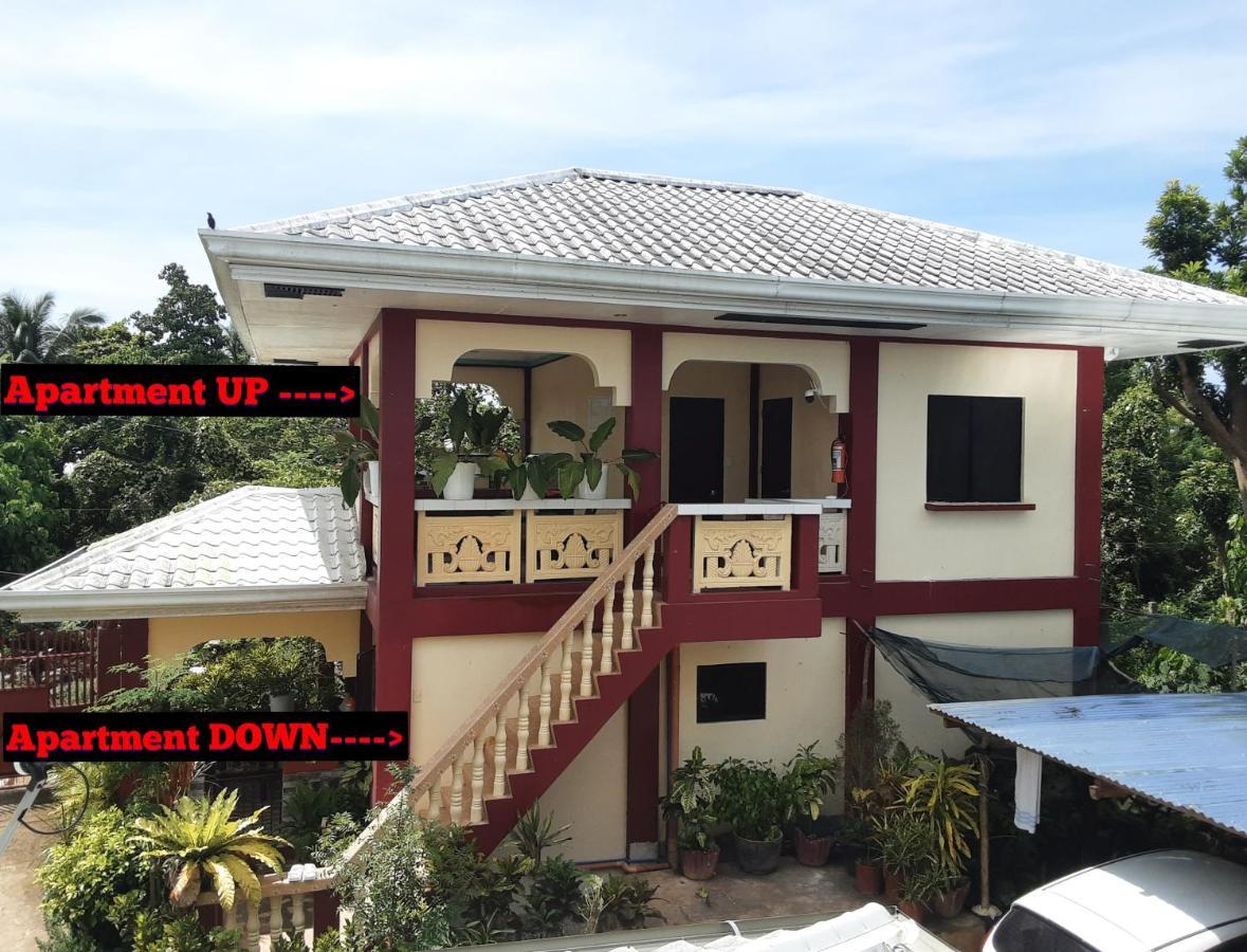 Peace Lily Studio Apartments Đảo Panglao Ngoại thất bức ảnh