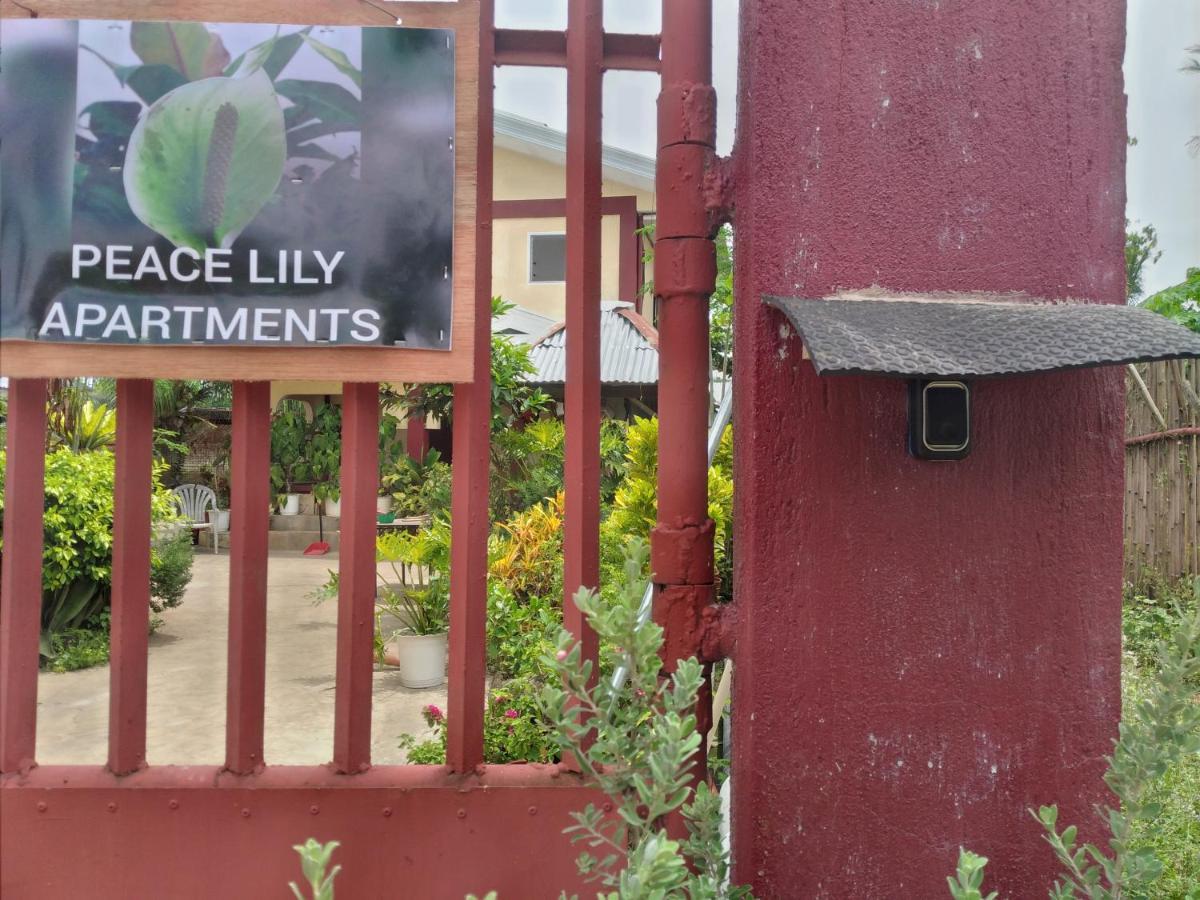 Peace Lily Studio Apartments Đảo Panglao Ngoại thất bức ảnh