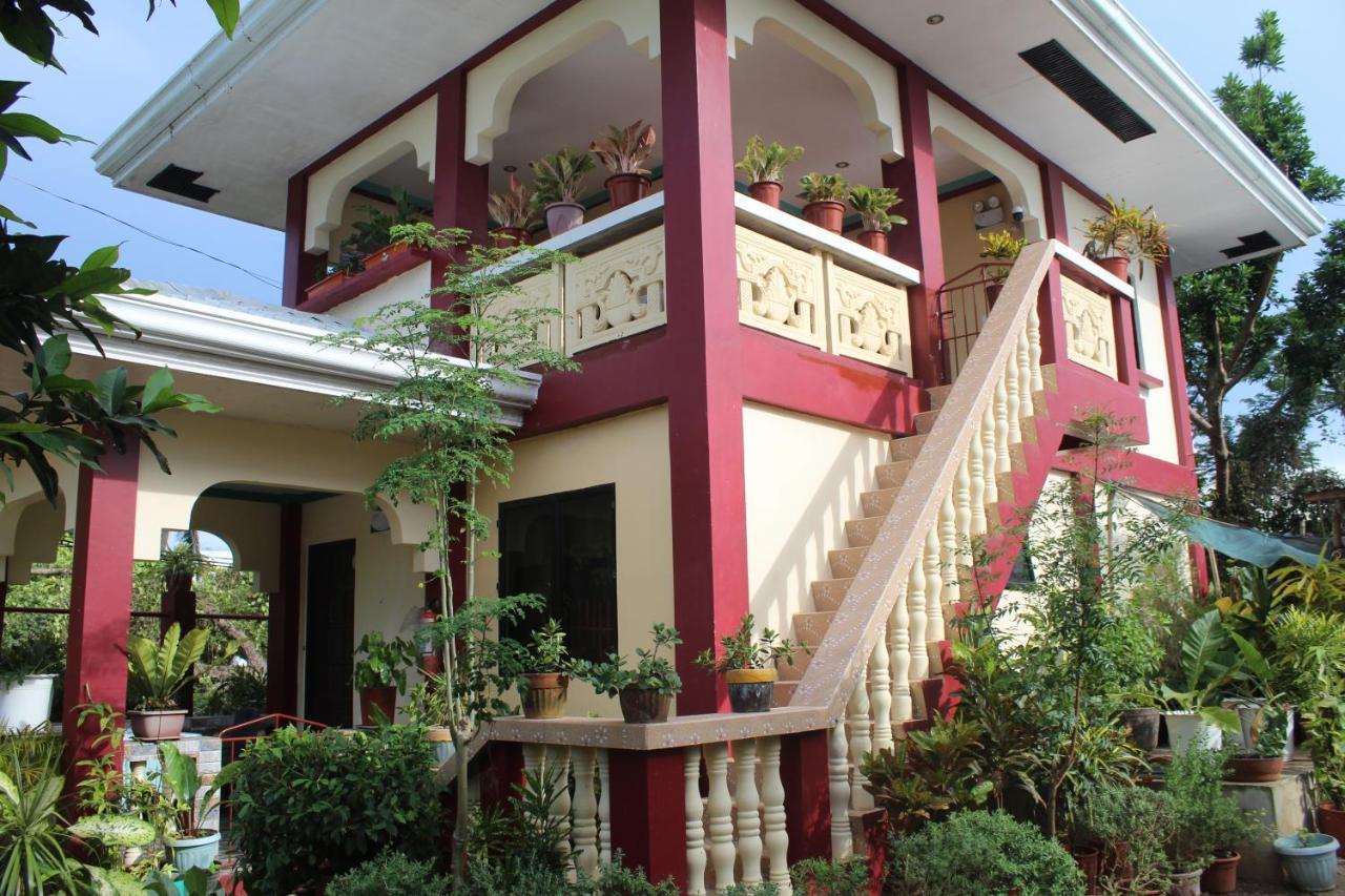 Peace Lily Studio Apartments Đảo Panglao Ngoại thất bức ảnh