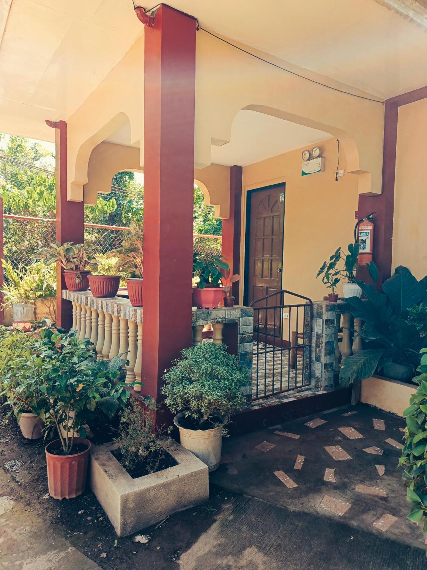 Peace Lily Studio Apartments Đảo Panglao Ngoại thất bức ảnh