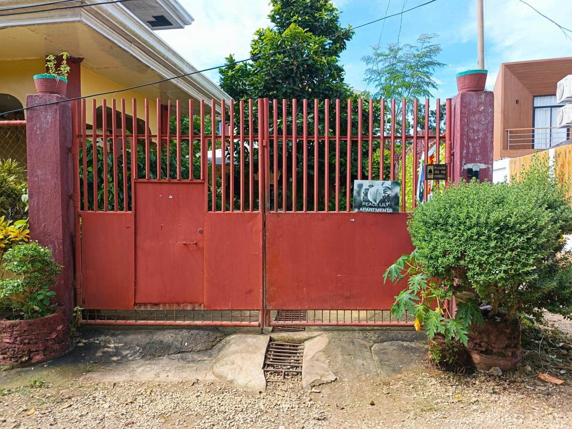 Peace Lily Studio Apartments Đảo Panglao Ngoại thất bức ảnh