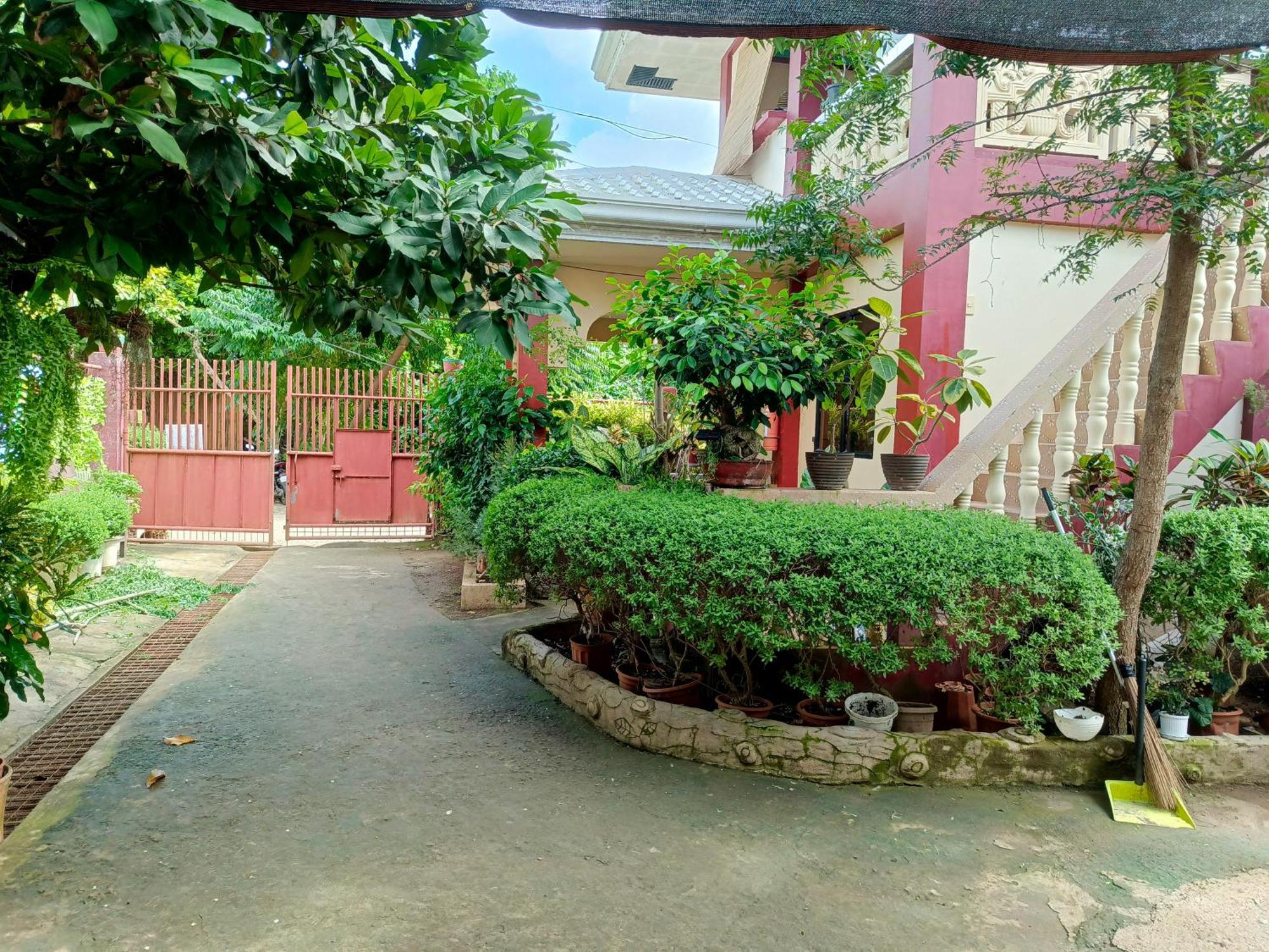 Peace Lily Studio Apartments Đảo Panglao Ngoại thất bức ảnh