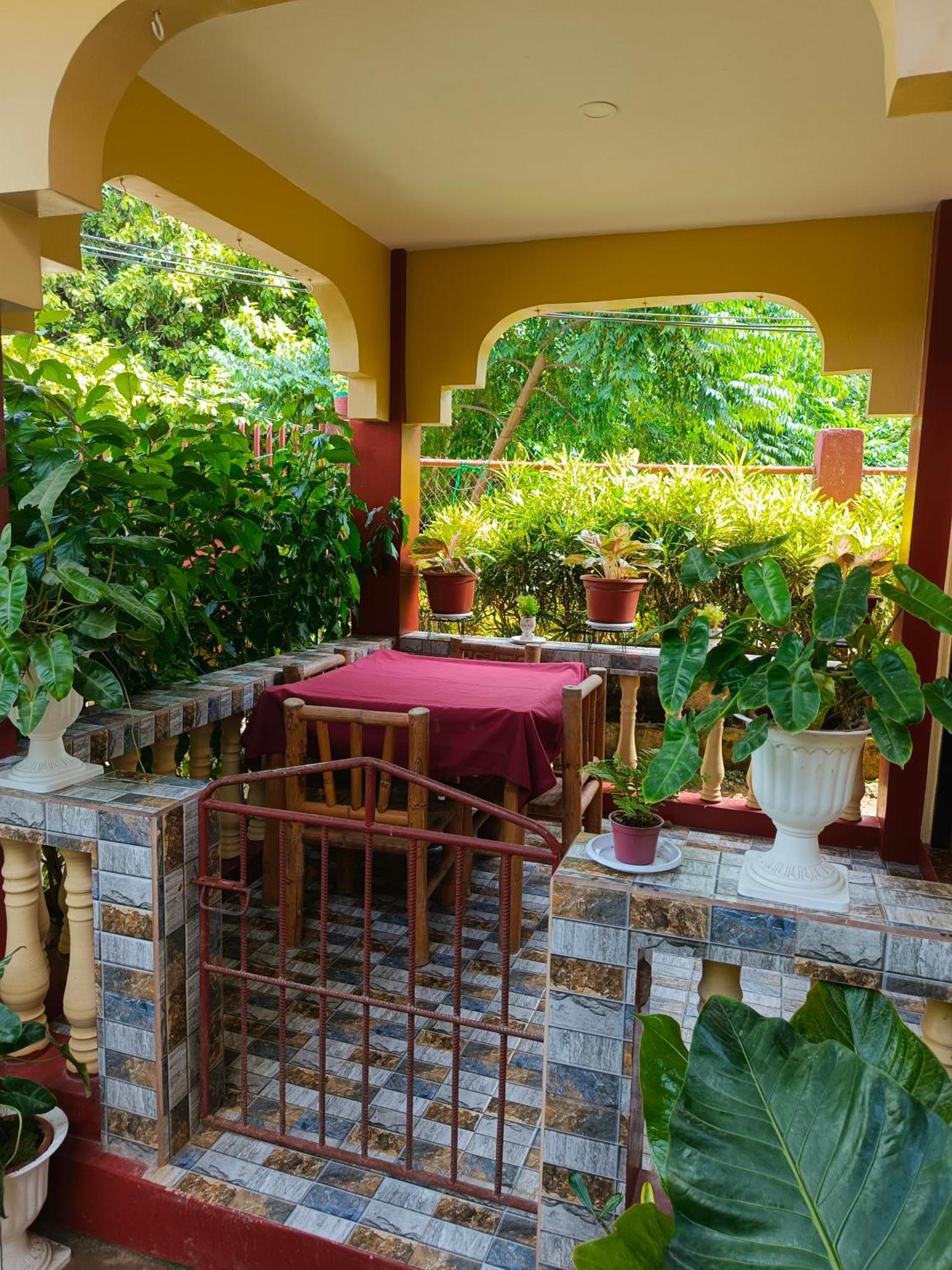 Peace Lily Studio Apartments Đảo Panglao Phòng bức ảnh