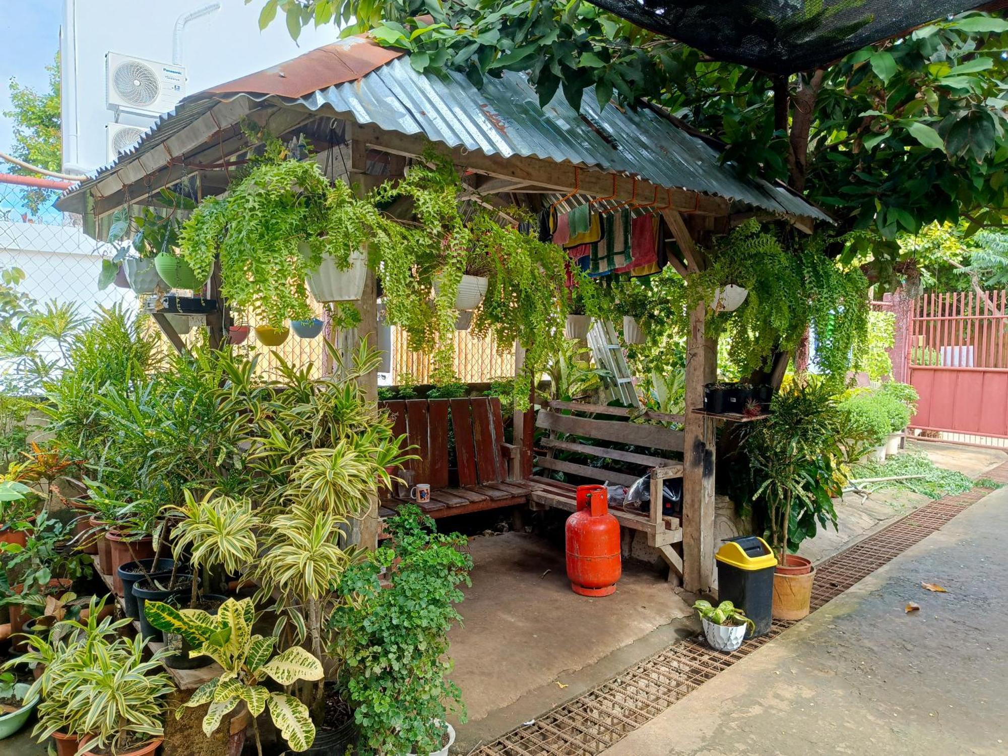 Peace Lily Studio Apartments Đảo Panglao Ngoại thất bức ảnh
