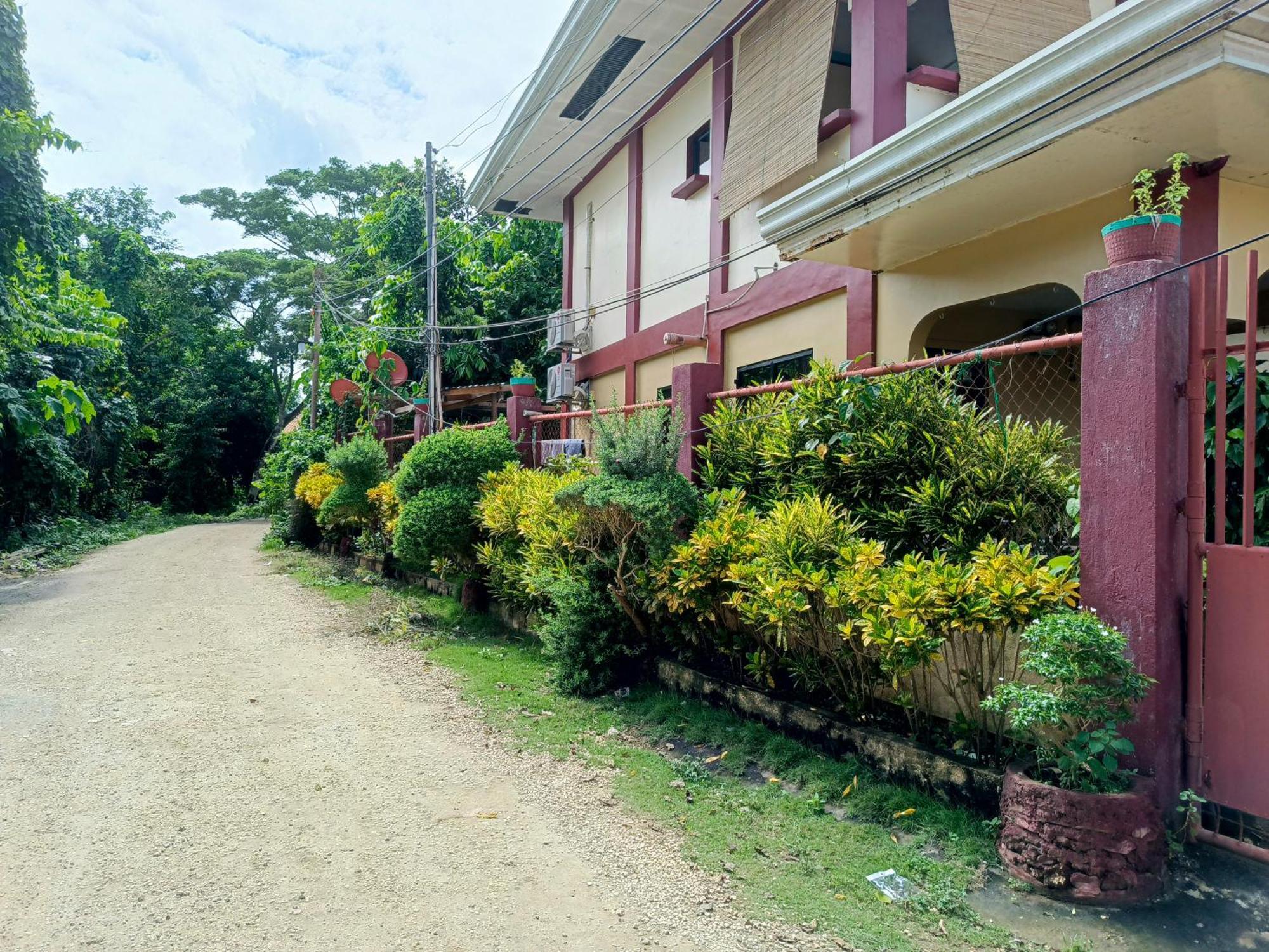 Peace Lily Studio Apartments Đảo Panglao Ngoại thất bức ảnh